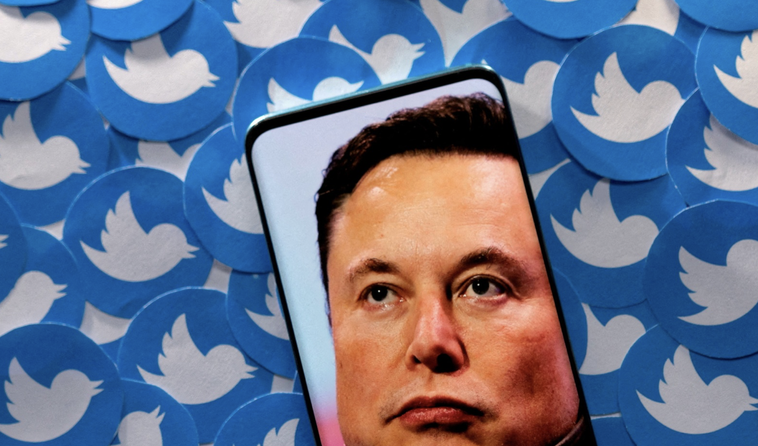Image of E Musk on smart phone on a bed of twitter logos