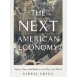 The Next American Economy book cover