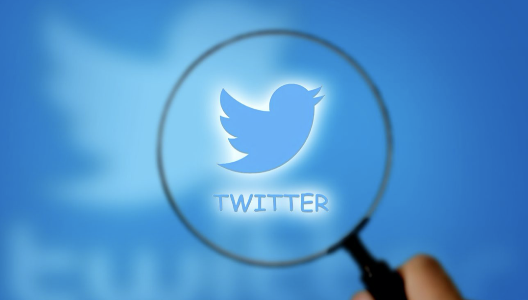 Twitter logo through magnifying glass