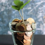 small plant in glass pot full of money