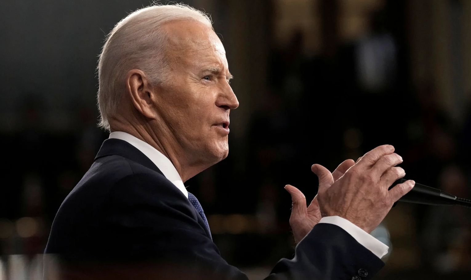 Biden profile - state of the union