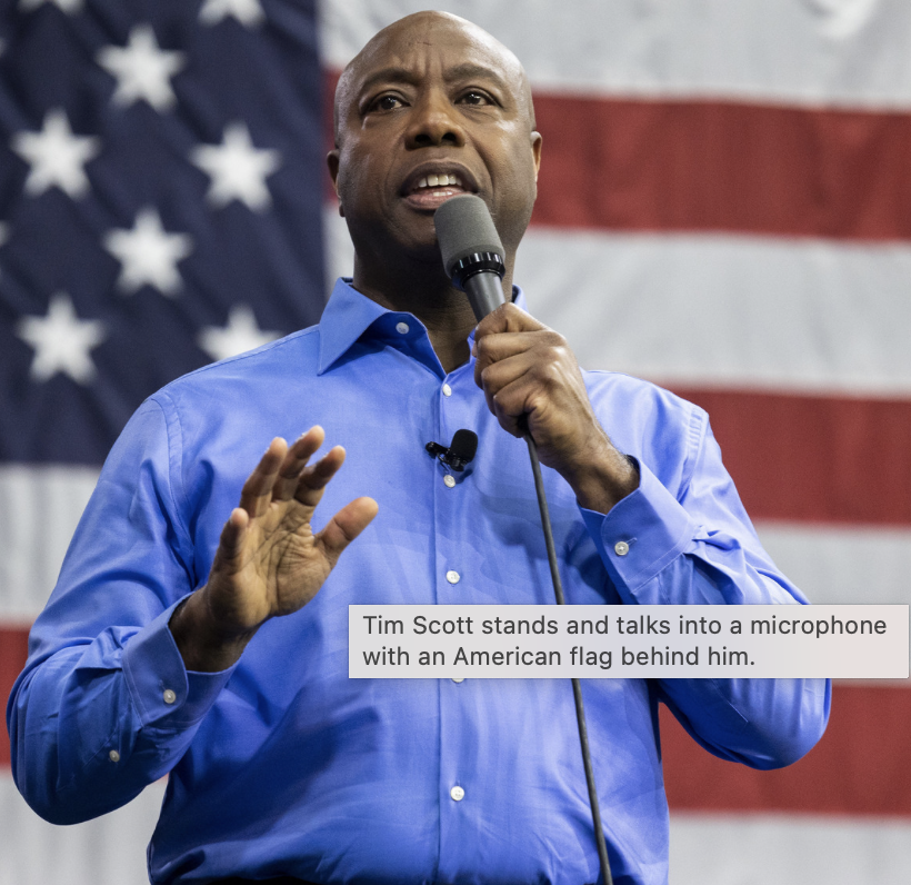 Tim Scott with US flag - campaigns