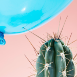 cactus spine pokes blue balloon