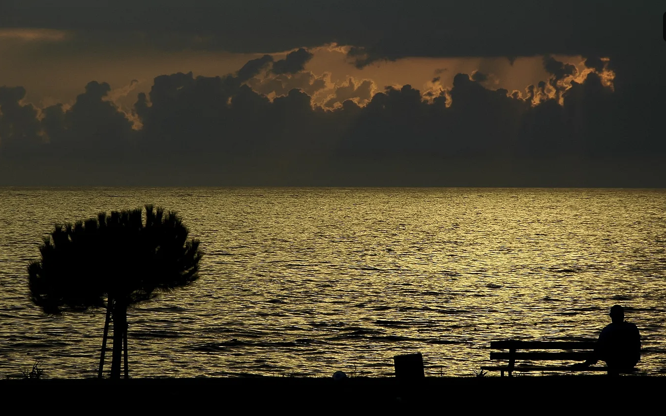 Contemplative scene by a lake