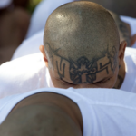 Mexican gang member - drug cartels in NYC