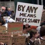 Pro Palestine protestors in NYC