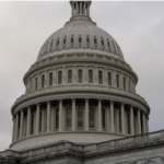 US Capitol dome - gray day