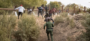 Illegal immigrants scramble uphill followed by border agent