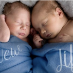 twin newborns in a basket - celebrate new life