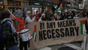 Pro Palestinian Pro Hamas protesters