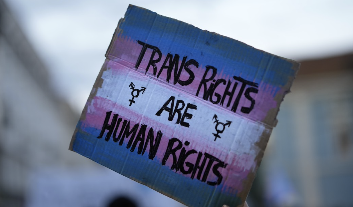 Trans rights are human rights - on cardboard