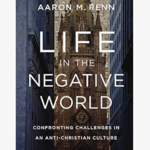 Book Cover - Life in the Negative World