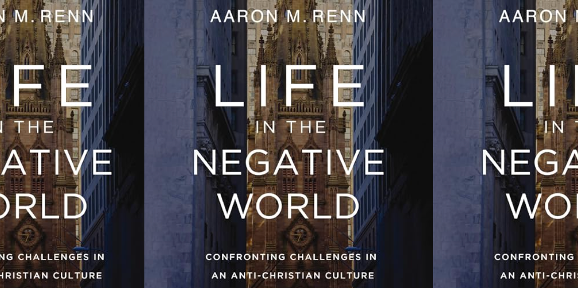 Life in the Negative World Viewpoints