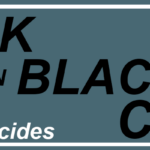 Black on Black Crime - 90% of Homicides