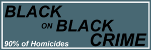 Black on Black Crime - 90% of Homicides