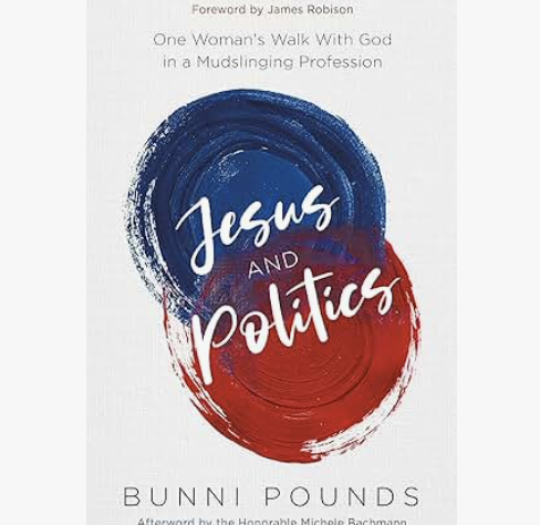 Book Cover - Jesus and Politics