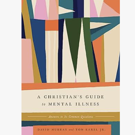 Book Cover - A Christian's Guide to Mental Illness