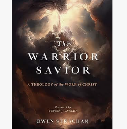 Book Cover - The Warrior Savior