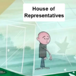 throw stone in glass house of representatives