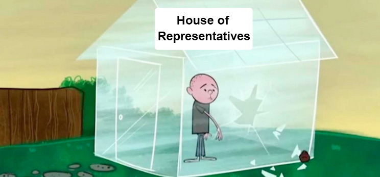 throw stone in glass house of representatives