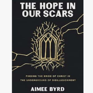 Book Cover - The Hope in Our Scars