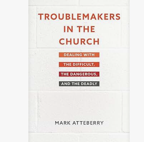 Book Cover - Troublemakers in the Church