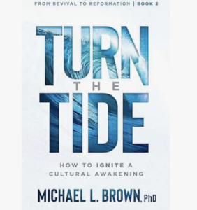 Book Cover - Turn the Tide