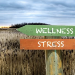 stressfull vs wellness