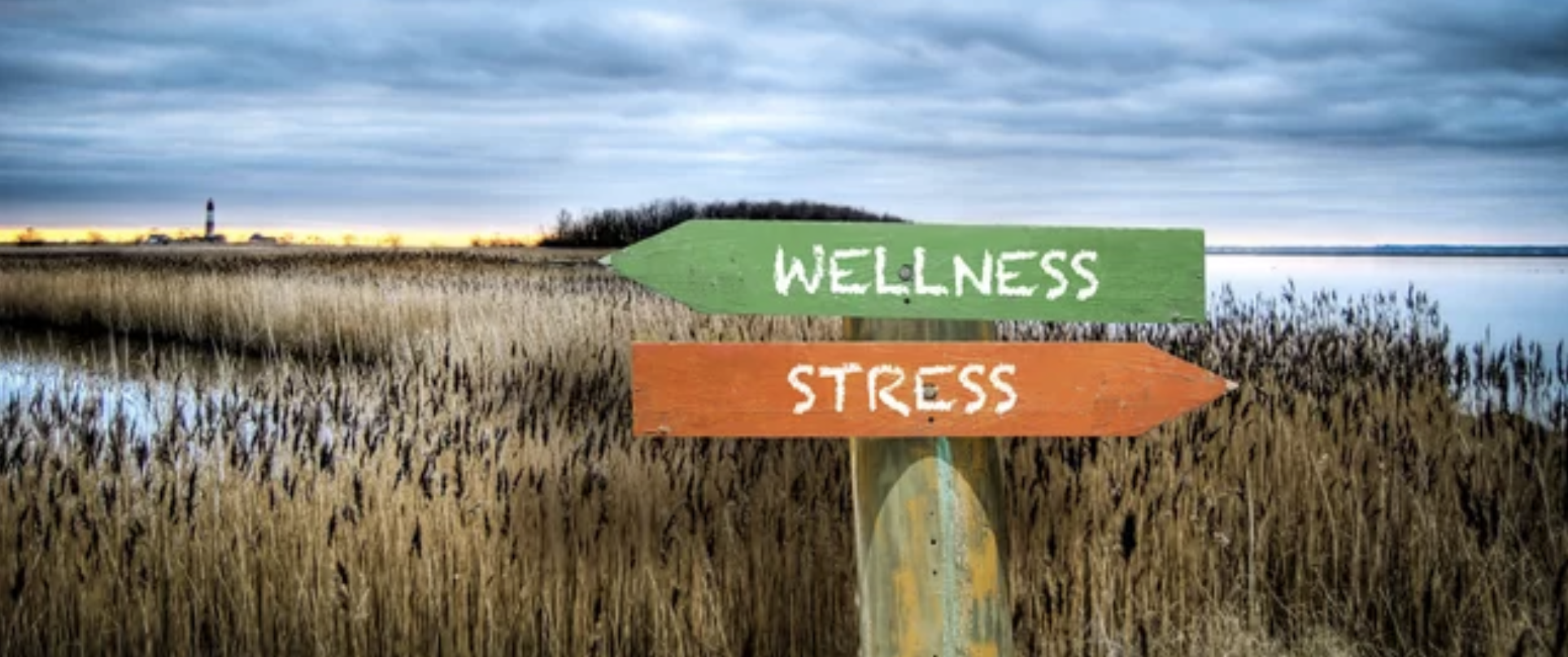 stressfull vs wellness