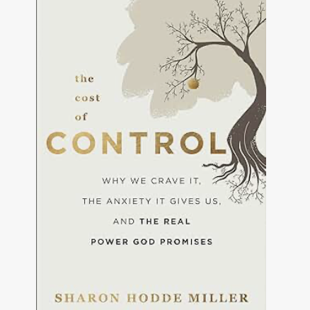 Book Cover - The Cost of Control