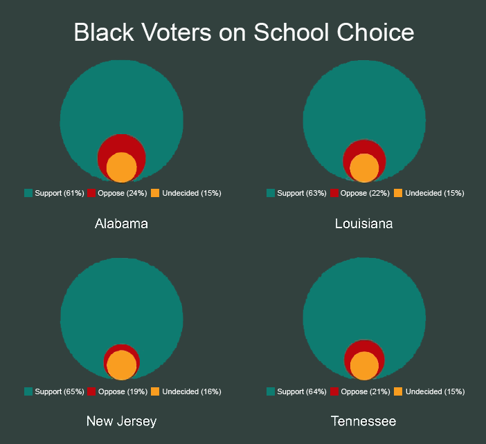 Black voters support school choice