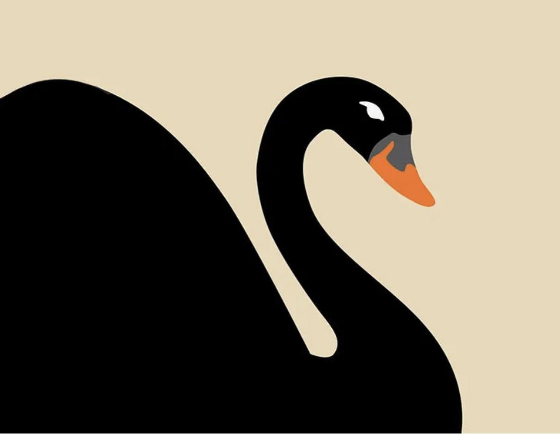 Graphic - black swan