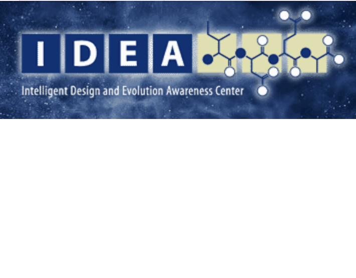 IDEA logo