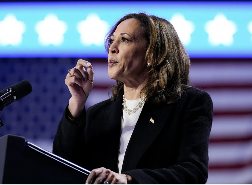 Kamala profile at debate