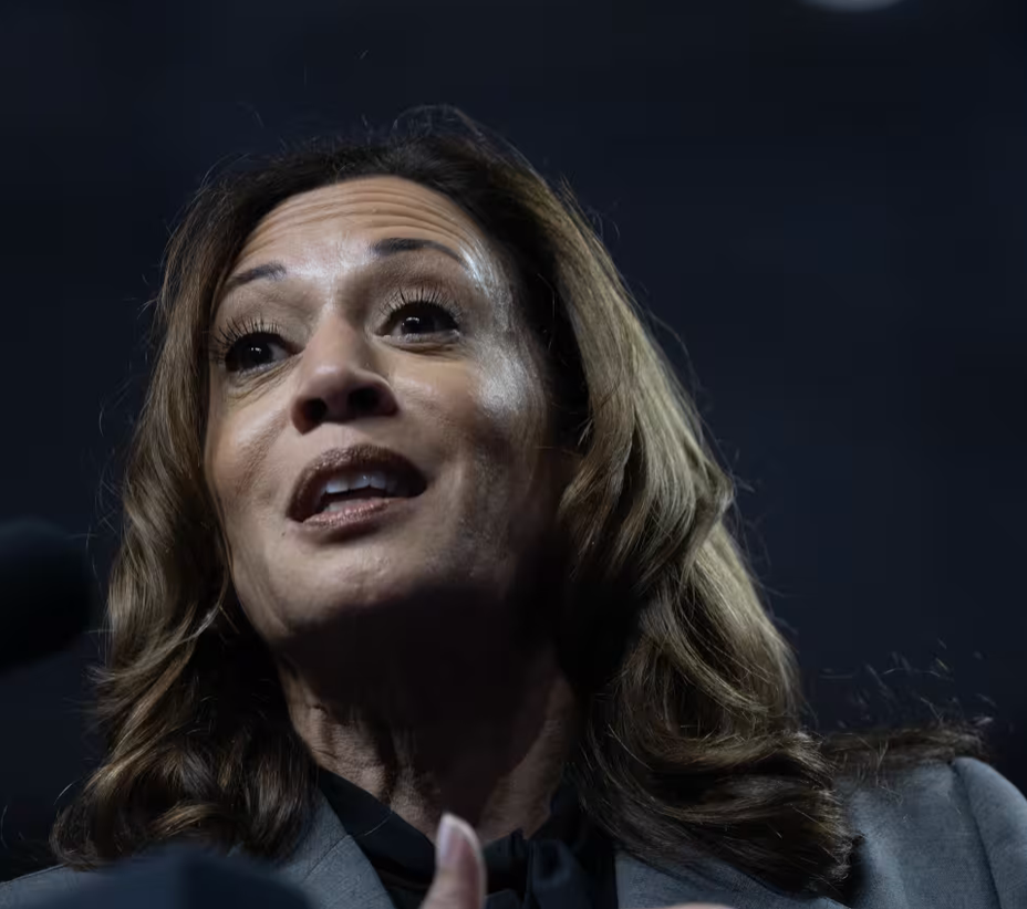 VP Kamala Harris head shot