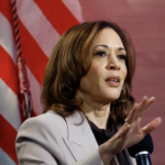 VP Kamala Harris speaks to journalists