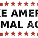 Make America Normal Again - banner