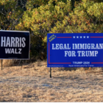 Political signs - Harris Walz and Legal Immigrants for Trump