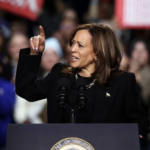 VP Kamala Harris gestures as she speaks - campaigning