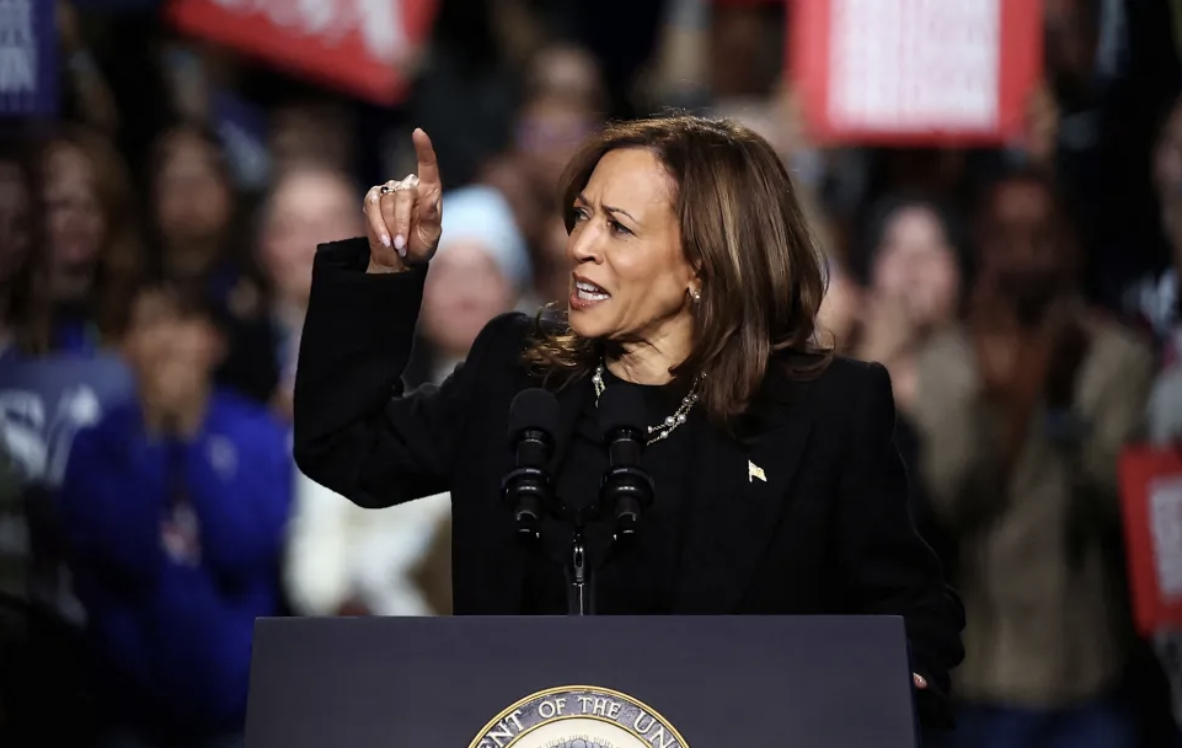 VP Kamala Harris gestures as she speaks - campaigning