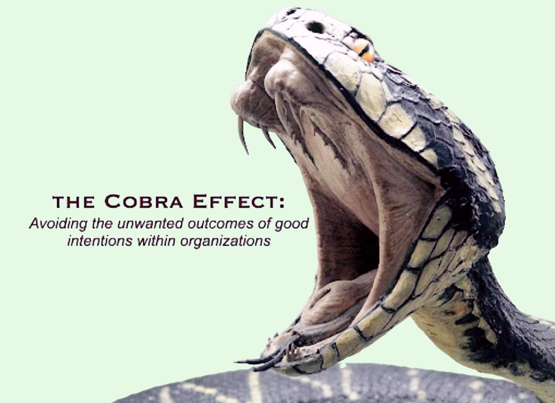 cobra effect 1100x800