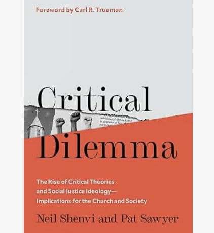 Book Cover - Critical Dilemma