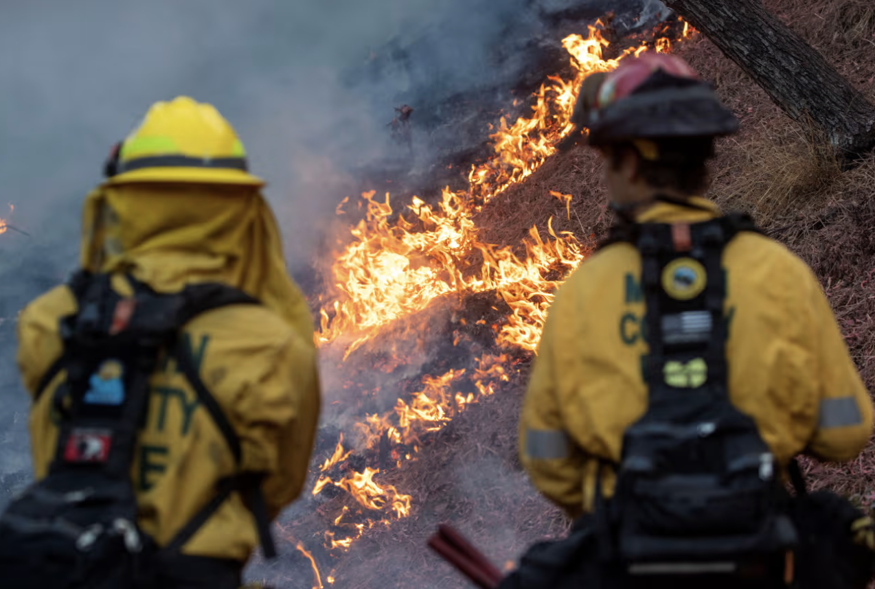 CA firefighters battle blaze