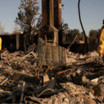 Pacific Palisades homes destroyed by fire