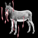 Pin the tail on the Democrat Donkey