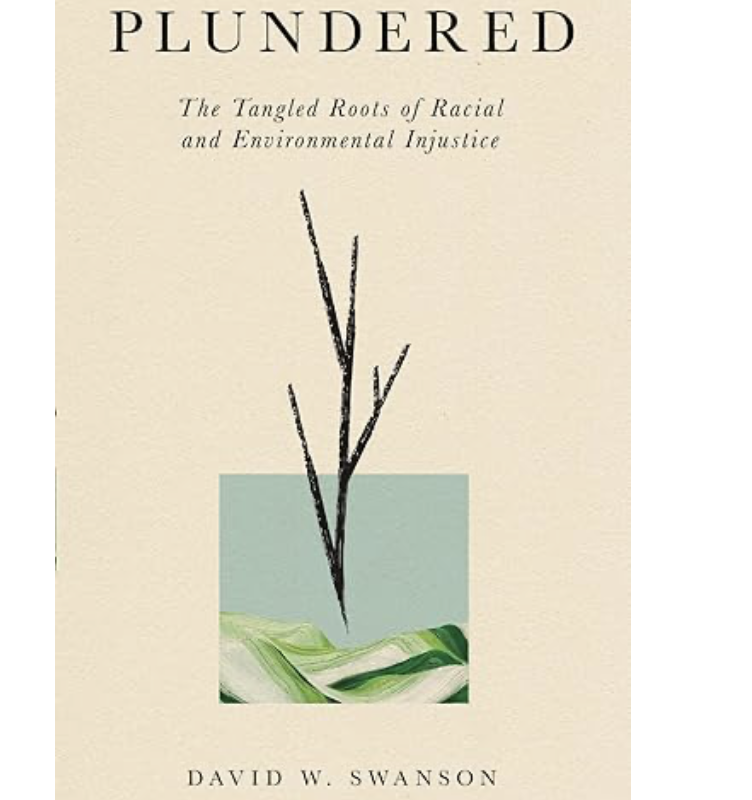 Book Cover - Plundered Book Cover - Plundered
