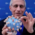 Anthony Fauci with a model of the Covid-19 virus