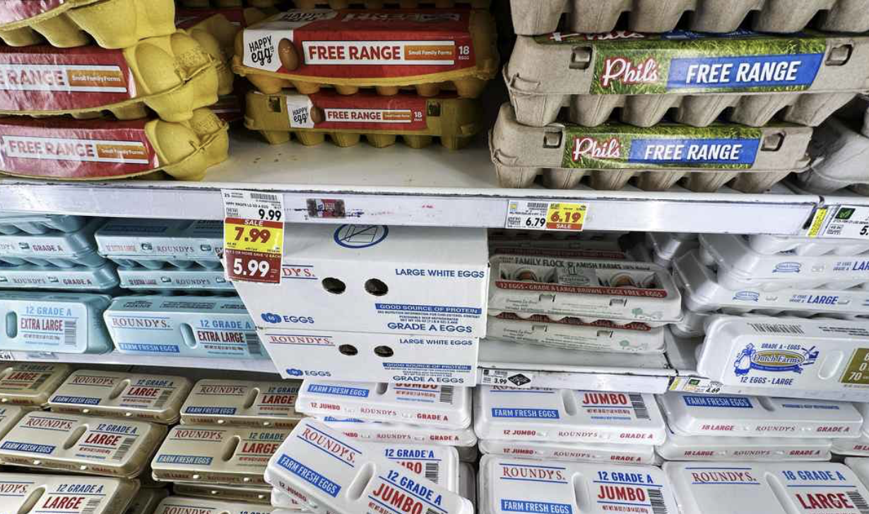 egg selection at super market grocery store