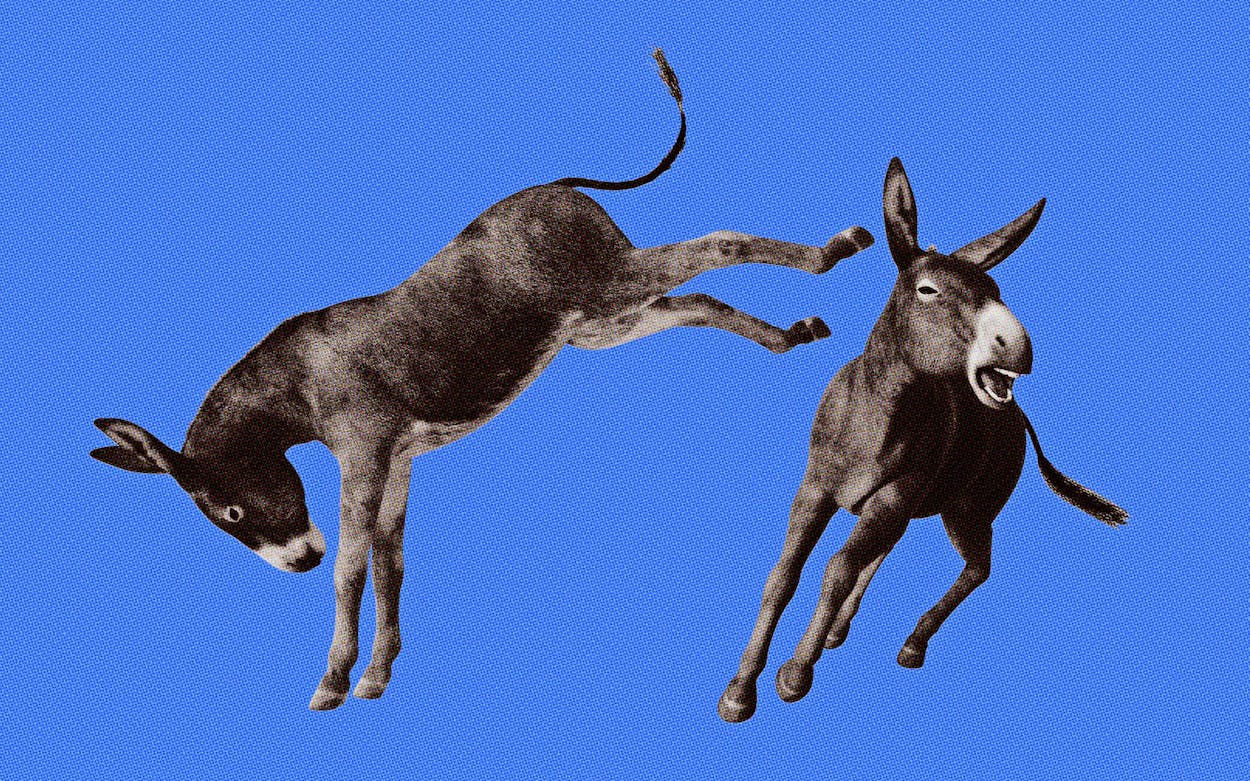 Democratic Party Infighting