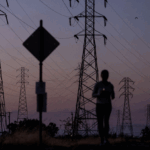 Risk to the Electric Grid